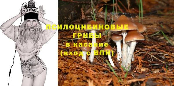 прущий лед Володарск